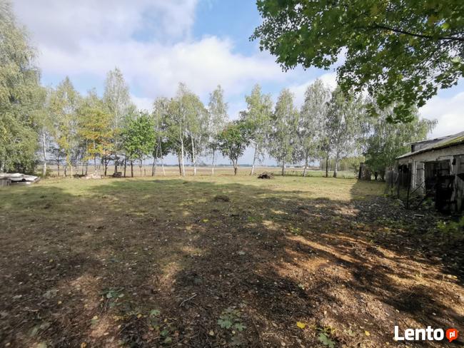 Kompleksowe porządkowanie działek, wycinka samosiewów