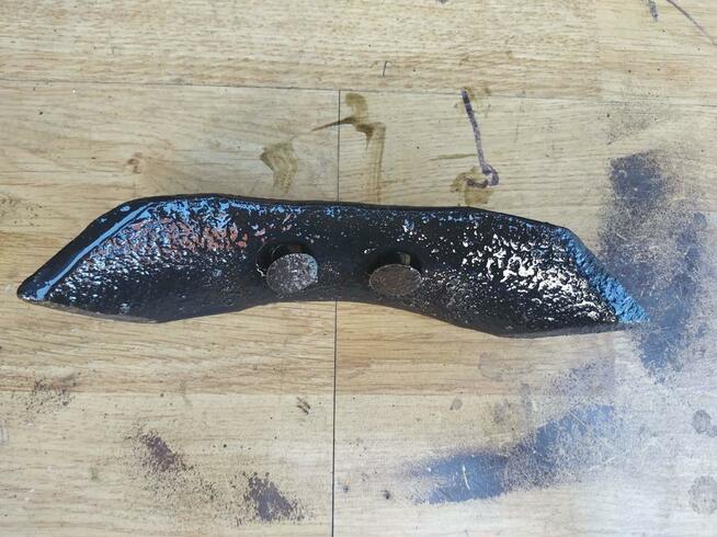 Redliczka zęba kultywatora