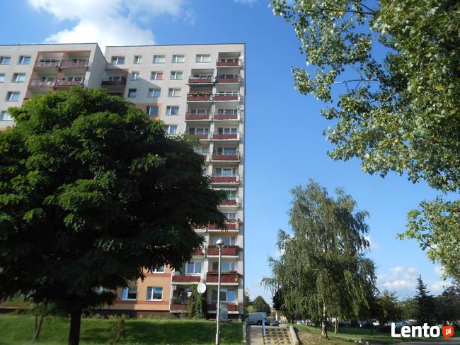 mieszkanie sprzedam 58,4 m2 M-4 Częstochowa dzielnica Północ