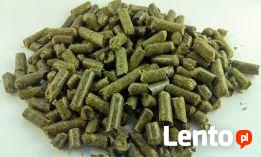 WYSŁODKI BURACZANE suche granulowane pasza wytłoki z buraka