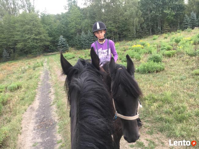 Jazda konna , spacery z końmi 55 km od centrum Warszawy