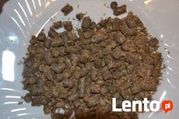 WYSŁODKI BURACZANE suche granulowane pasza wytłoki z buraka