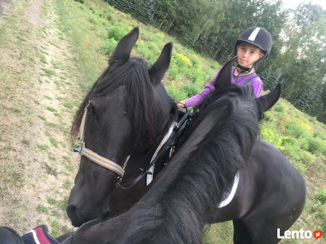 Jazda konna , spacery z końmi 55 km od centrum Warszawy