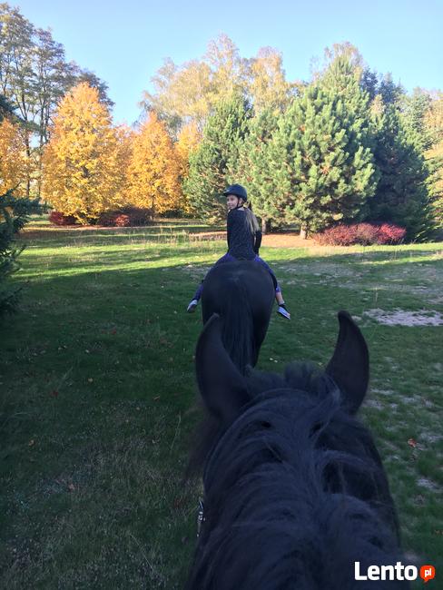 Jazda konna , spacery z końmi 55 km od centrum Warszawy