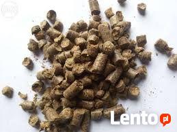 WYSŁODKI BURACZANE suche granulowane pasza wytłoki z buraka