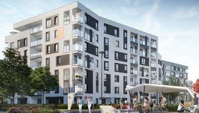 Kierownik budowy, Opinie techniczne, Legalizacje samowoli