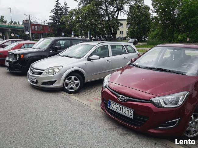 Wynajem samochodów osobowych dostawczych busów