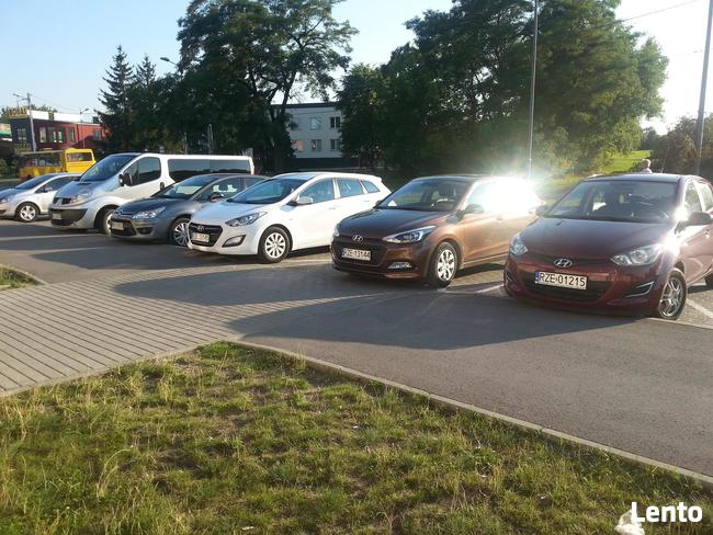 Wynajem samochodów osobowych dostawczych busów