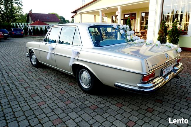 Auto do ślubu zabytkowy Mercedes W108