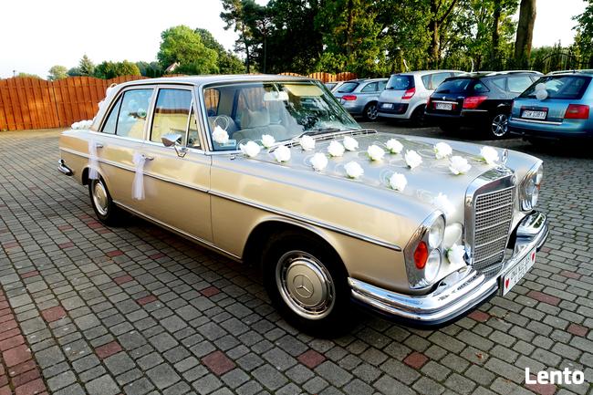 Auto do ślubu zabytkowy Mercedes W108