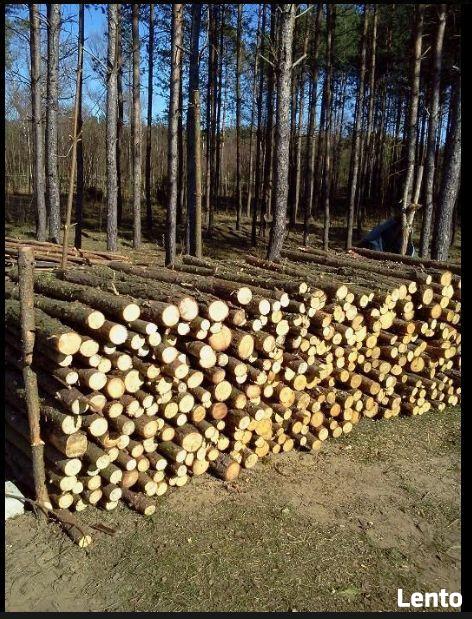 Drewno opałowe, kominkowe, sosna, opał, papierówka 220 zł/mp