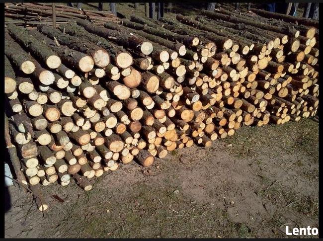 Drewno opałowe, kominkowe, sosna, opał, papierówka 220 zł/mp