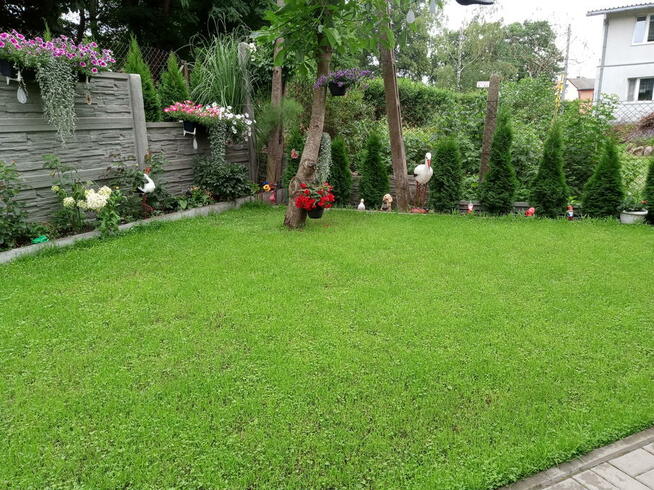 WYPOCZYNEK NAD MORZEM - STEGNA