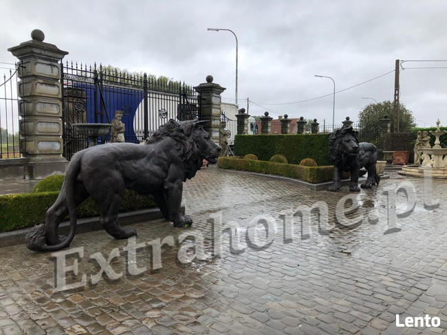 Lwy z brązu , Lew z brązu , Rzeźba Lwa z brązu .- Lwy pałac