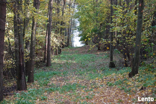 Mazury Stare Juchy działki w okolicach jeziora lasu