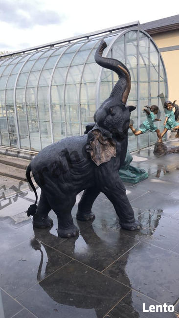 Król Lew , Lew z brązu 145cm , figura z brązu