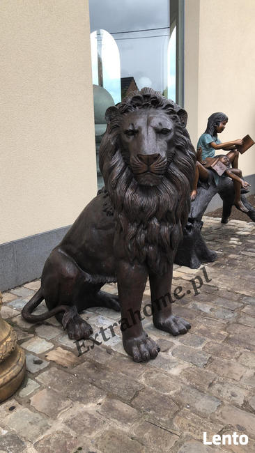Król Lew , Lew z brązu 145cm , figura z brązu