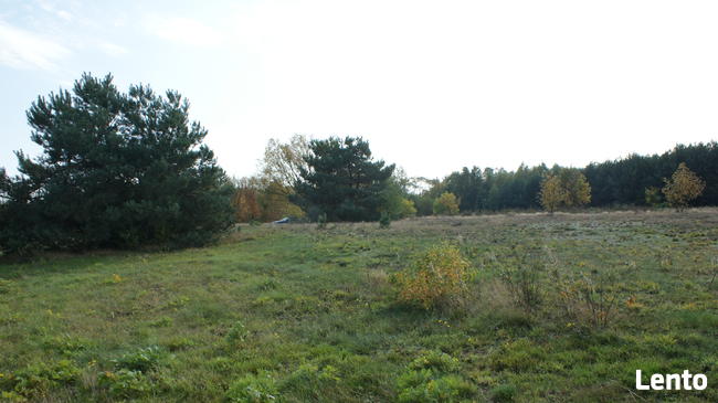 Strzegocin 6ha pod rezydencję, inwestycję, podział