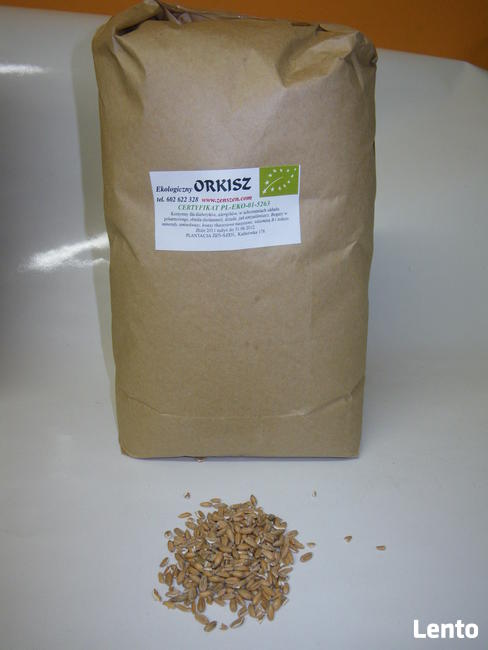 Żyto eko pierwotne KRZYCA na kiełki makę z 1kg bez chemii