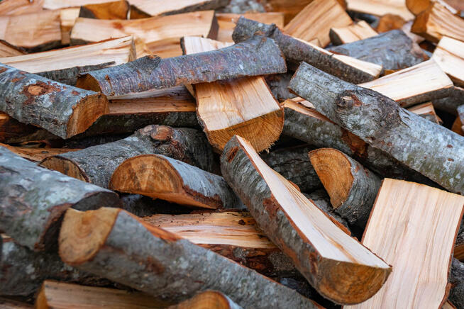 Drewno Kominkowe i Opałowe | BEZPŁATNY TRANSPORT