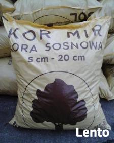 Kora sosnowa