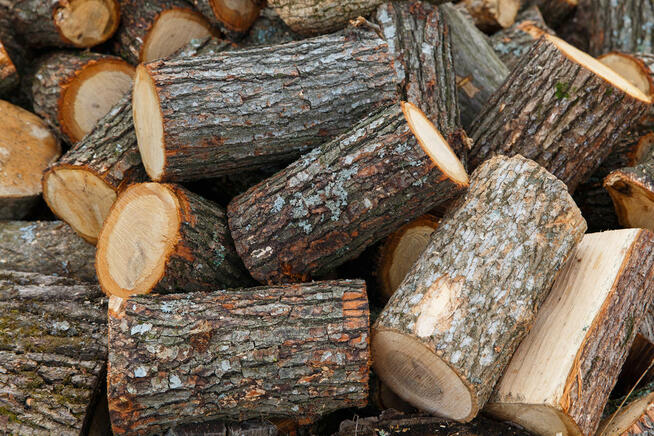 Drewno Kominkowe i Opałowe | BEZPŁATNY TRANSPORT