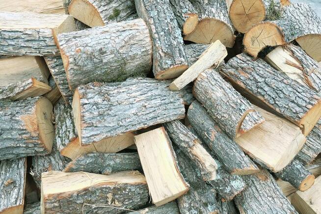 Drewno Kominkowe i Opałowe | BEZPŁATNY TRANSPORT