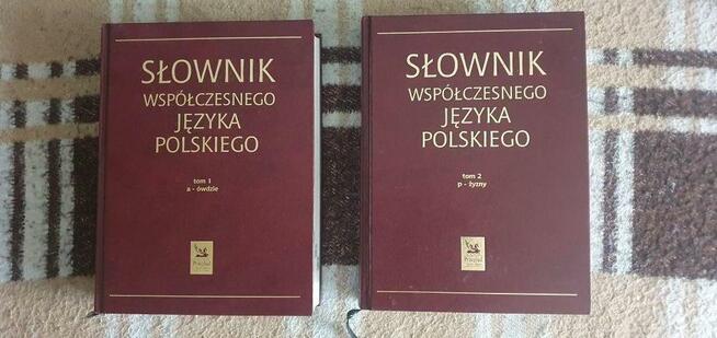 Słownik współczesnego języka polskiego