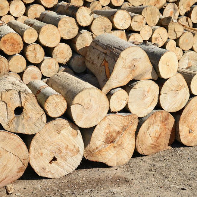 Drewno Kominkowe i Opałowe | BEZPŁATNY TRANSPORT