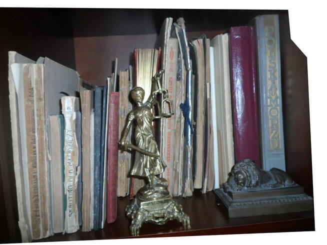 Skupujemy za gotówkę całe kolekcje - likwidujemy mieszkania