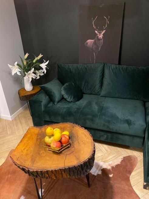 Luksusowe mieszkanie do wynajęcia Katowice-M2 BEZPOŚREDNIO