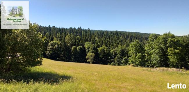 Zieleniec ostatnia działka 50 arów pod pensjonat hotel domki