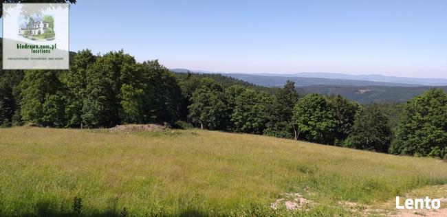 Zieleniec ostatnia działka 50 arów pod pensjonat hotel domki