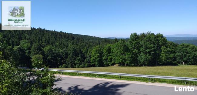 Zieleniec ostatnia działka 50 arów pod pensjonat hotel domki
