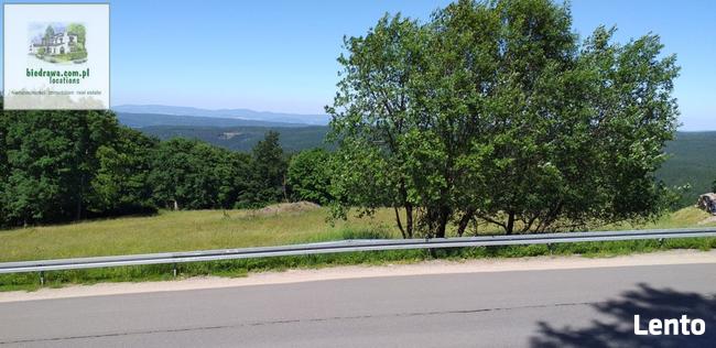 Zieleniec ostatnia działka 50 arów pod pensjonat hotel domki