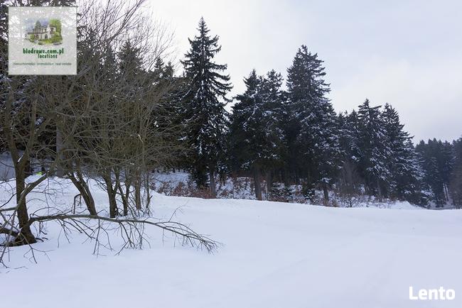 Zieleniec ostatnia działka 50 arów pod pensjonat hotel domki