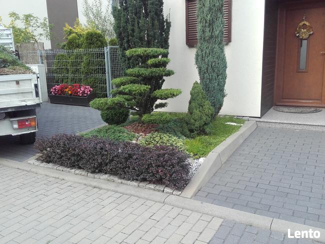 Bonsai do ogrodu -szkółka NIWAKI Bielsko Biała śląskie