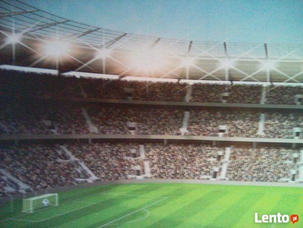 malarz-tapeciarz ,szuka stałych zleceń