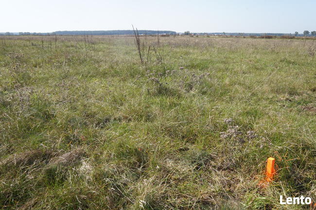 Działka nad Kanałem Rudzkim