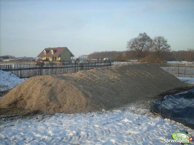 Świeżę Wysłodki buraczane mokre, cukrownia Krasnystaw
