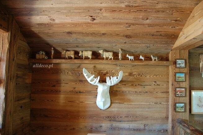 Stara deska obiciowa - niecodzienny wystrój na co dzień!