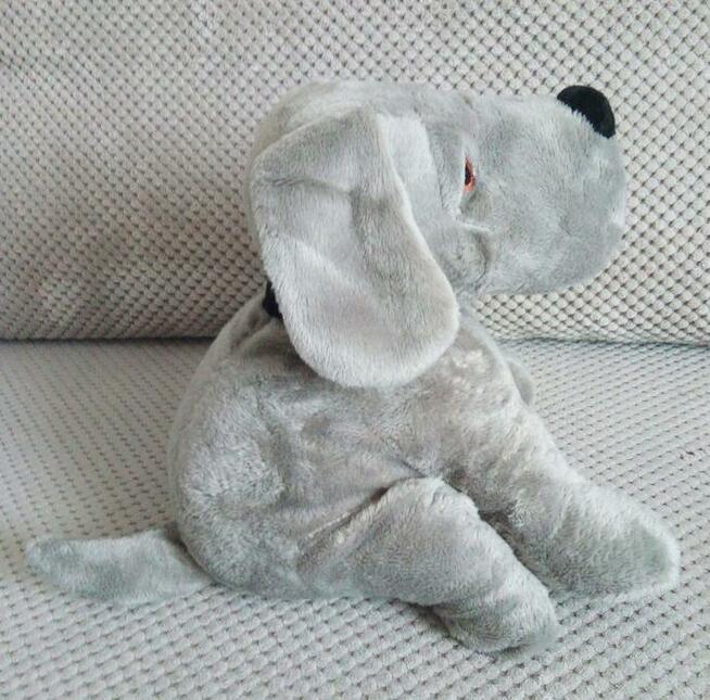 Stoper do drzwi blokada holder pies terier dog