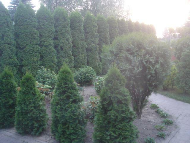 Dom Wrocław Psie Pole