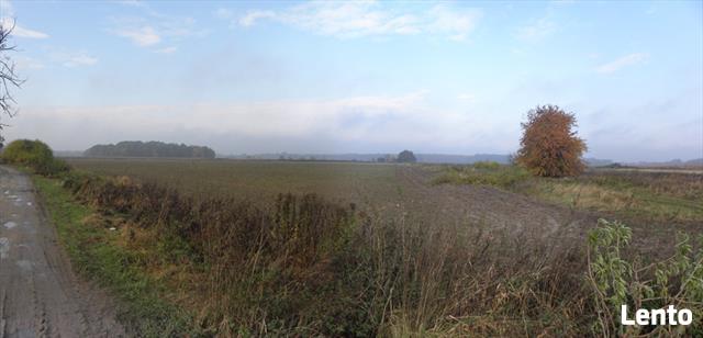 Działka rolna Byków gm. Długołęka
