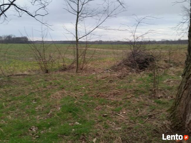 Działka usługowa Mirków gm. Długołęka