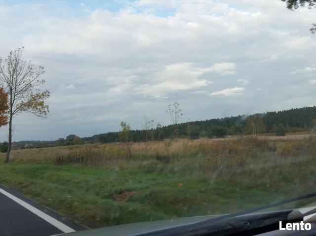 Działka Zgorzelec/Węgliniec