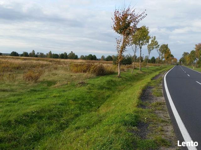 Działka Zgorzelec/Węgliniec