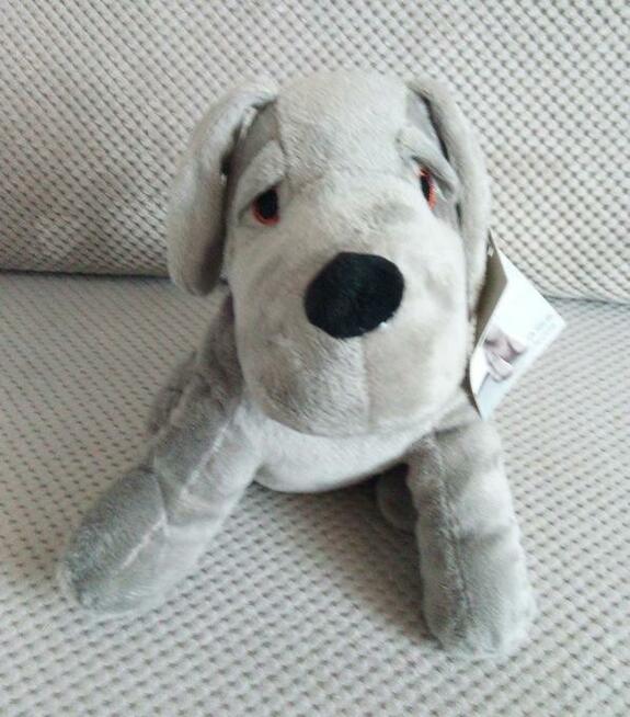 Stoper do drzwi blokada holder pies terier dog