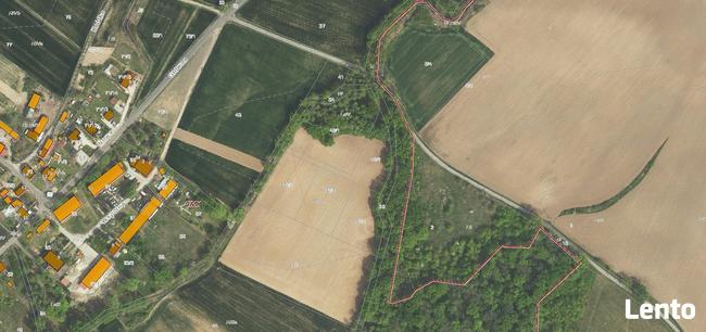 Działka Rolna (1000 m2) 5 km od Wrocławia (Romnów)