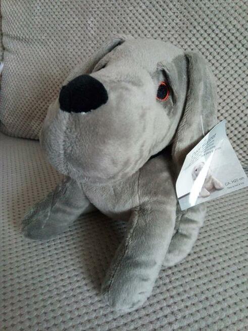 Stoper do drzwi blokada holder pies terier dog